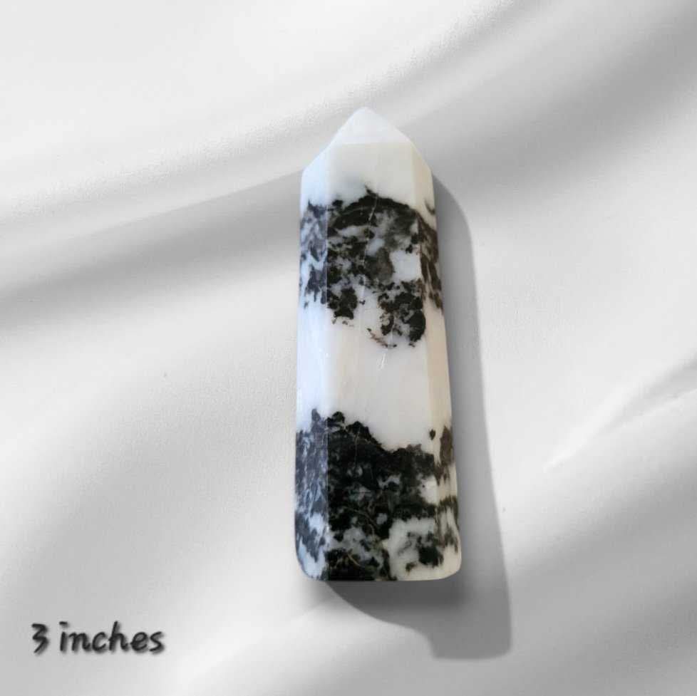 Zebra Jasper
