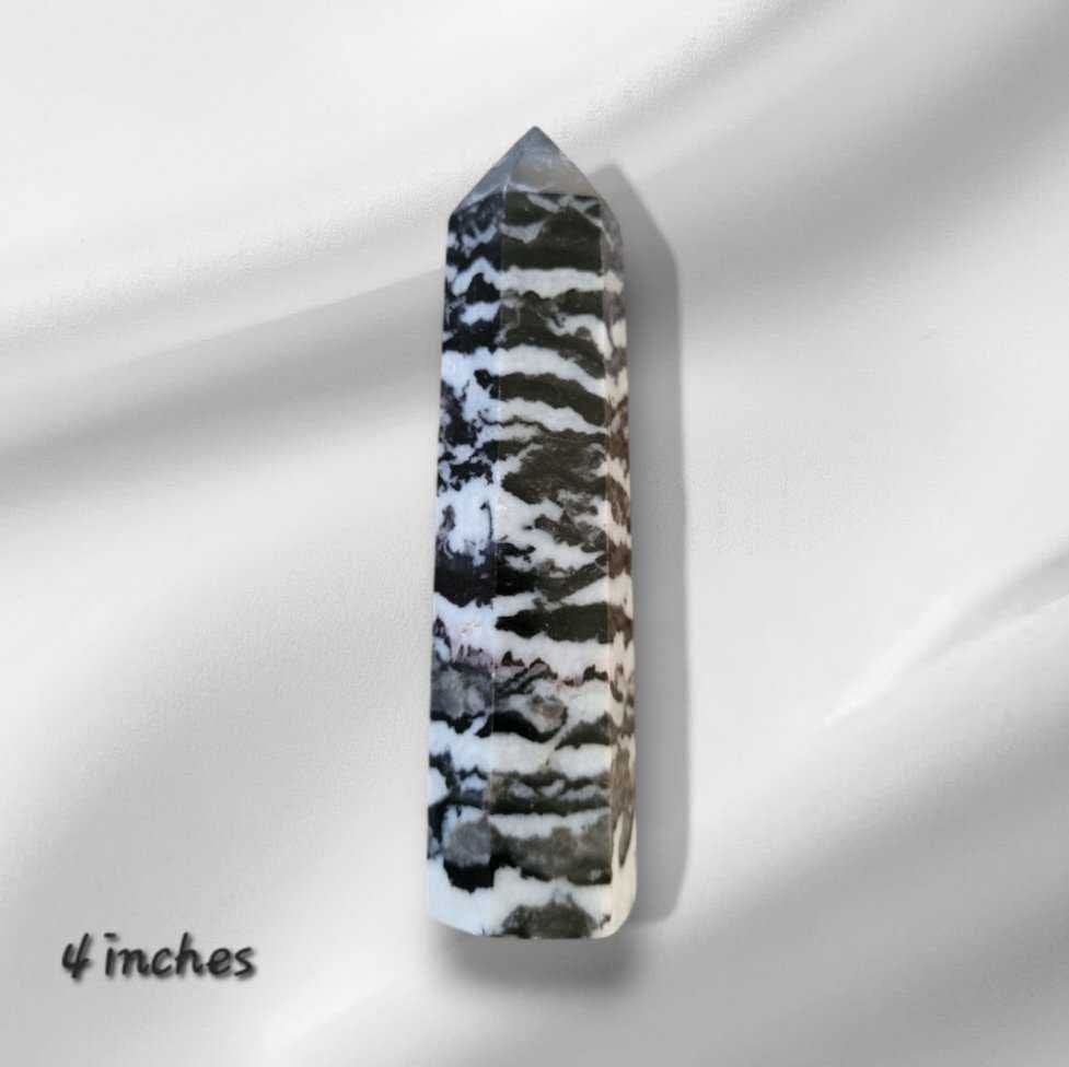 Zebra Jasper