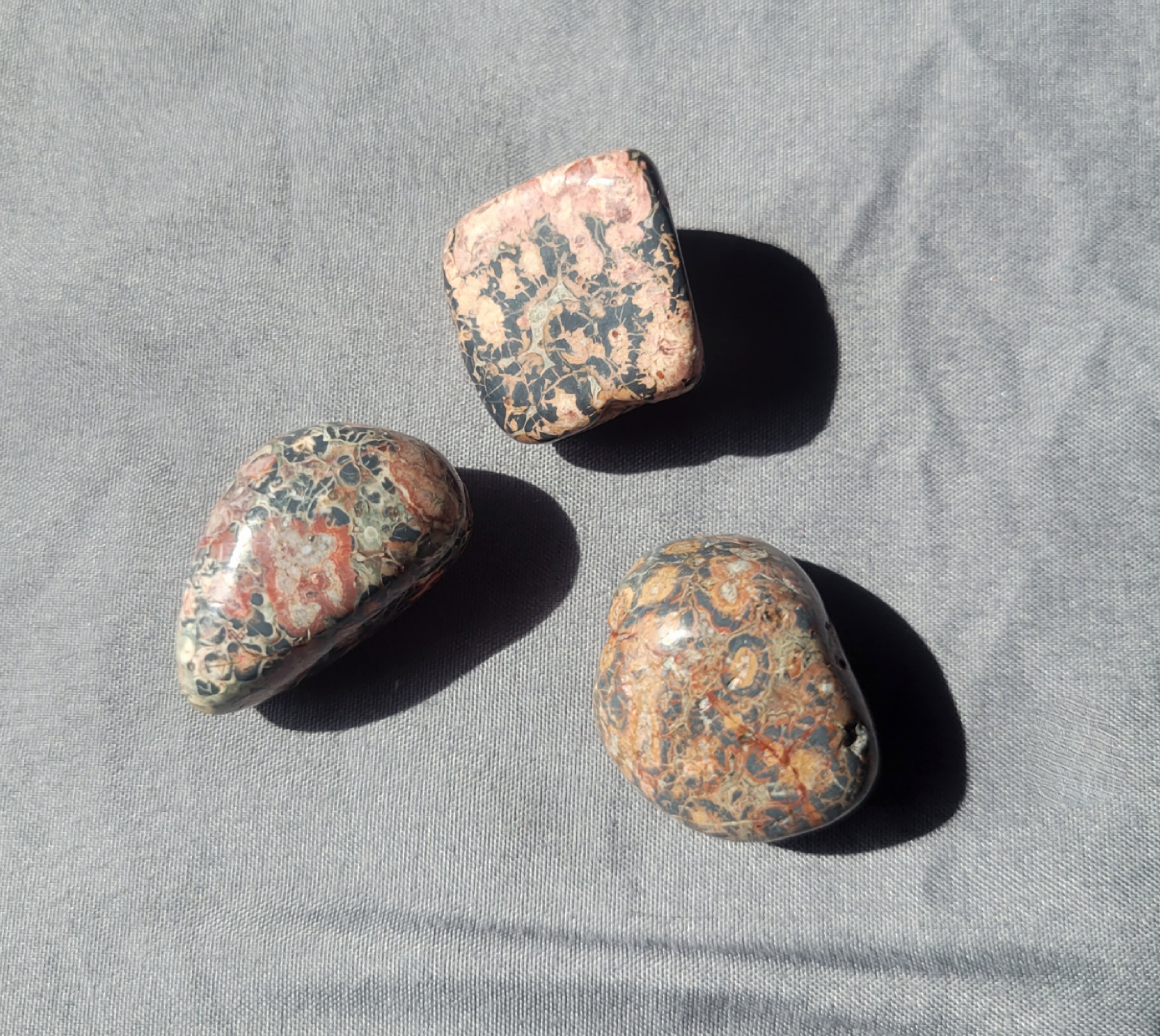Leopard Skin Jasper