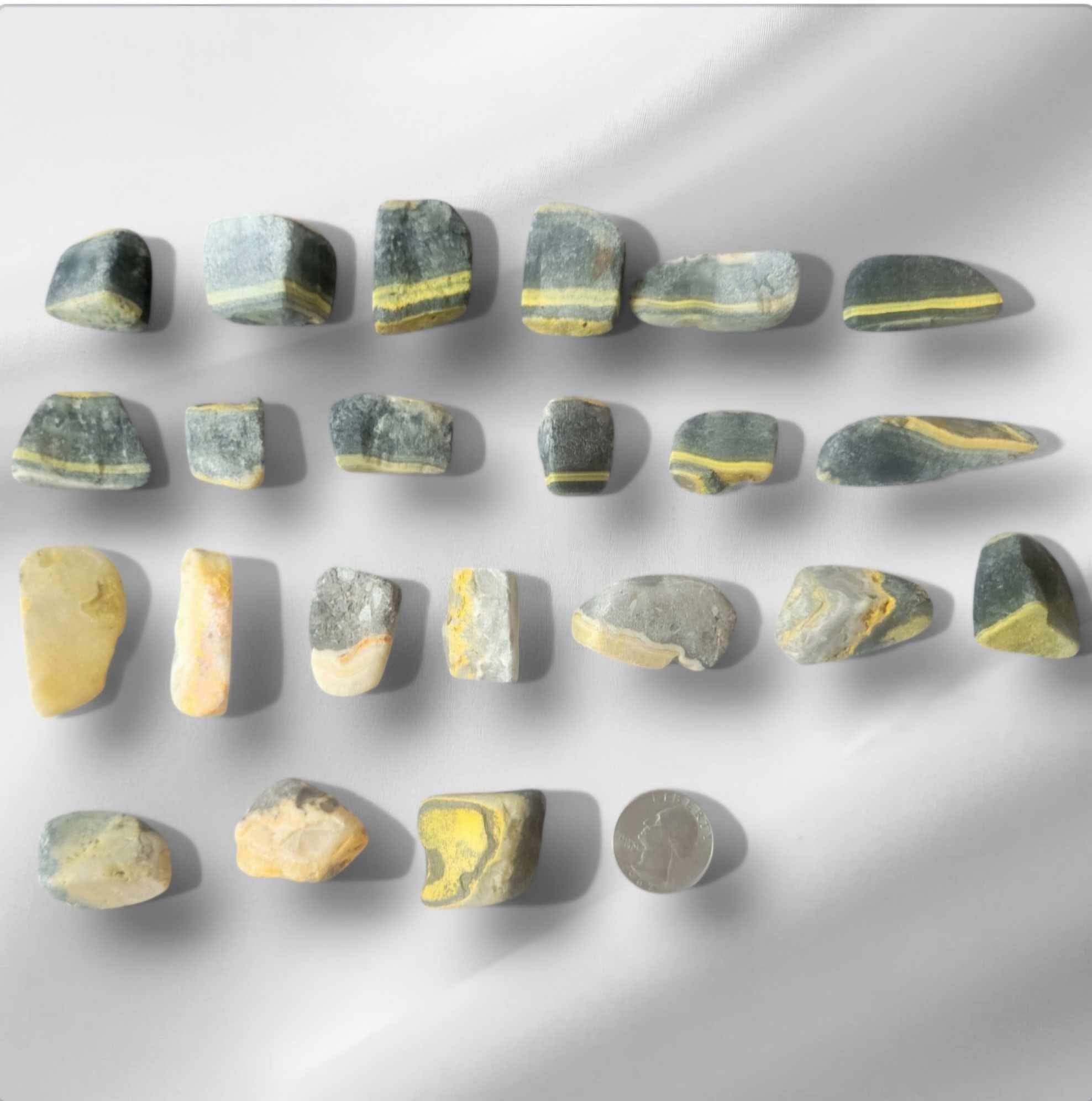 Bumblebee Jasper