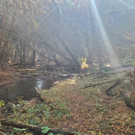 Hidden Gem Trail in Brooklin, ON