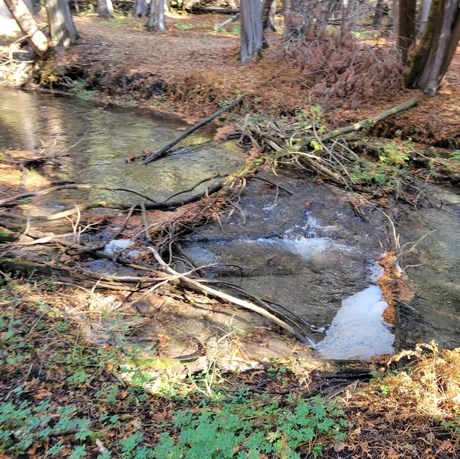 Hidden Gem Trail in Brooklin, ON