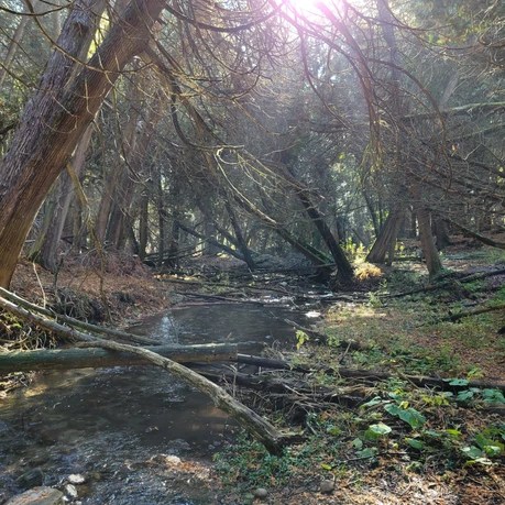 Hidden Gem Trail in Brooklin, ON