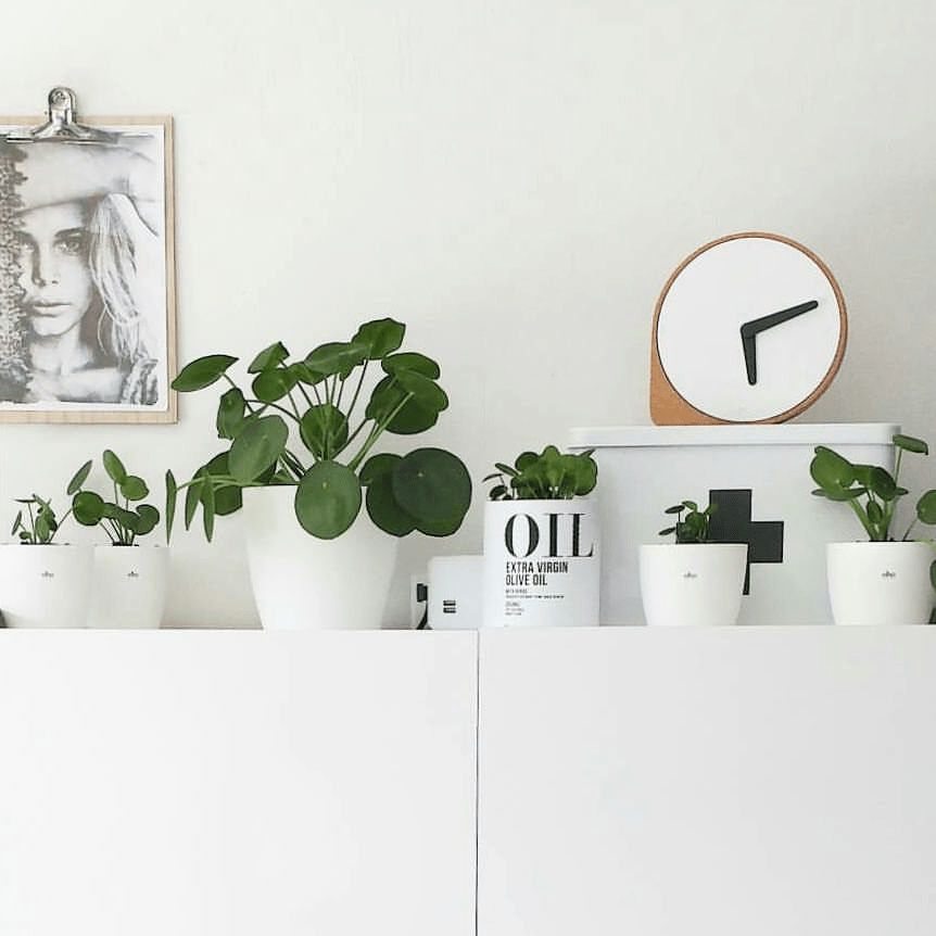 Gespot op Instagram: Hét Blokker blik a la Nicolas Vahé Gespot op Instagram: Hét Blokker blik a la Nicolas Vahé