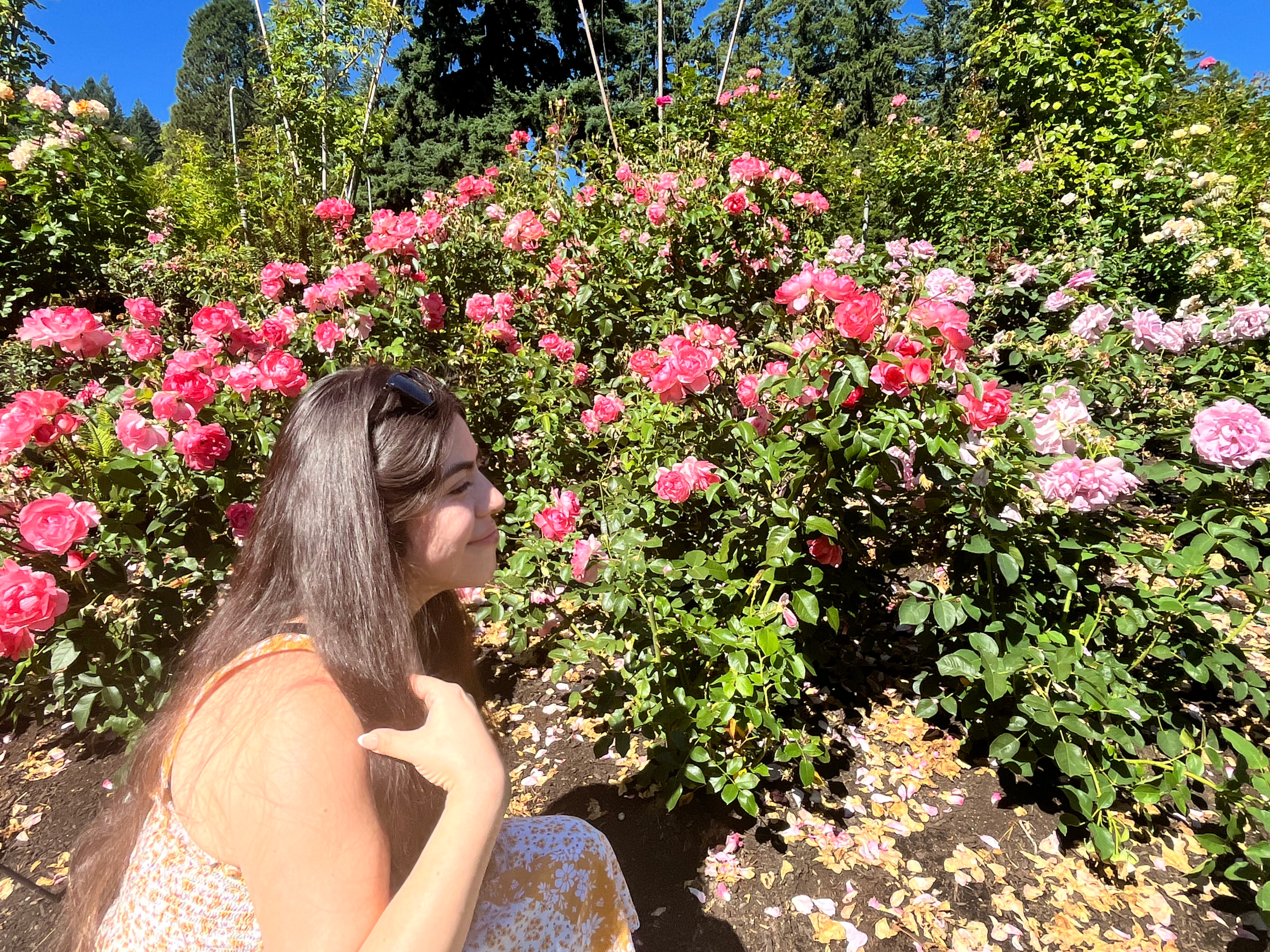 Welcome to my Blog!