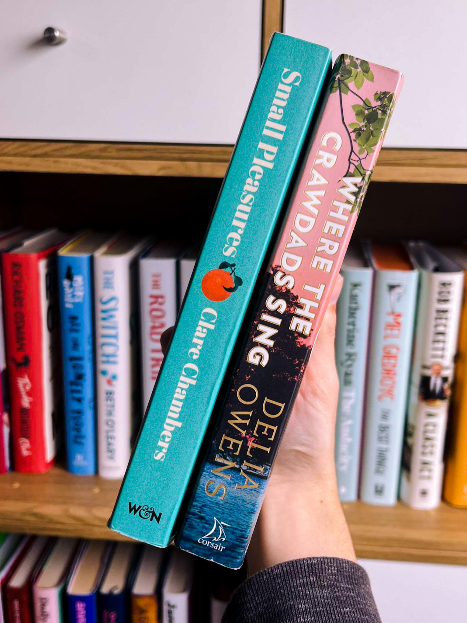 5 Novels Read Recently