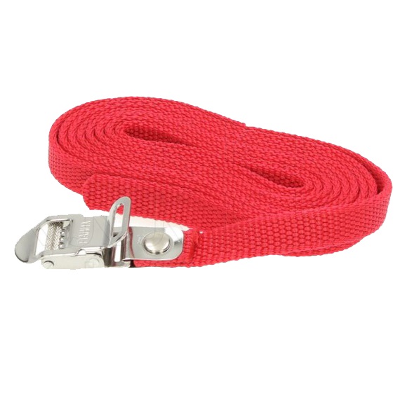 Security Strap 2