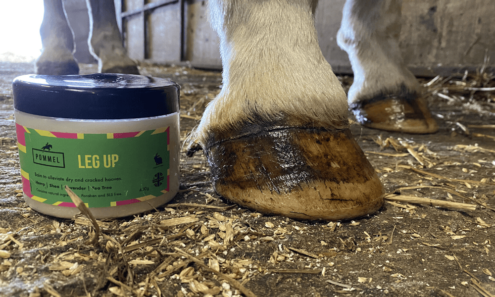 Pommel Leg Up Hoof Balm Review