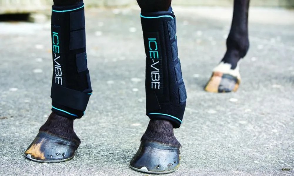 Ice Boots For Horses