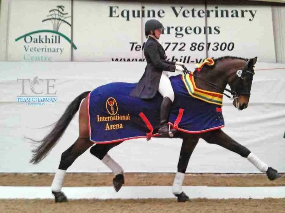 Melissa Chapman - Team Chapman Equestrian