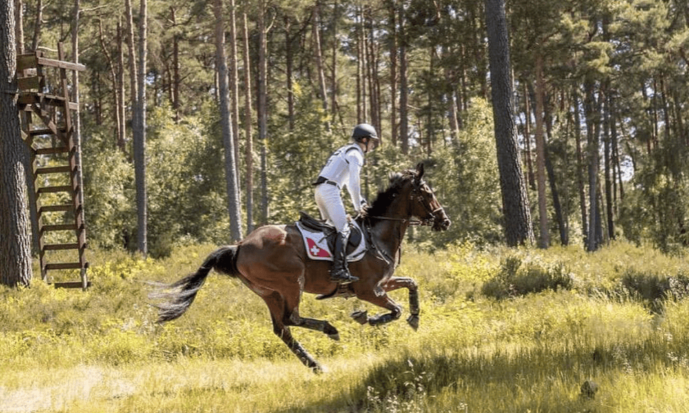 Robin Godel riding Jet Set at CCI4* Lumuehlen 2020 (@robin.godel Instagram)