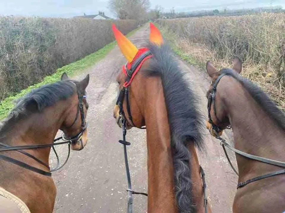 hacking out road safety