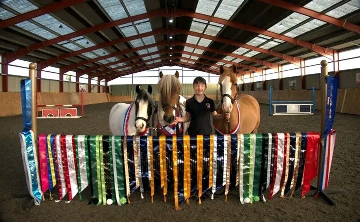 Theo and his rescue ponies