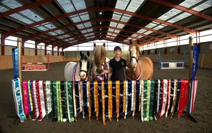 Theo and his rescue ponies