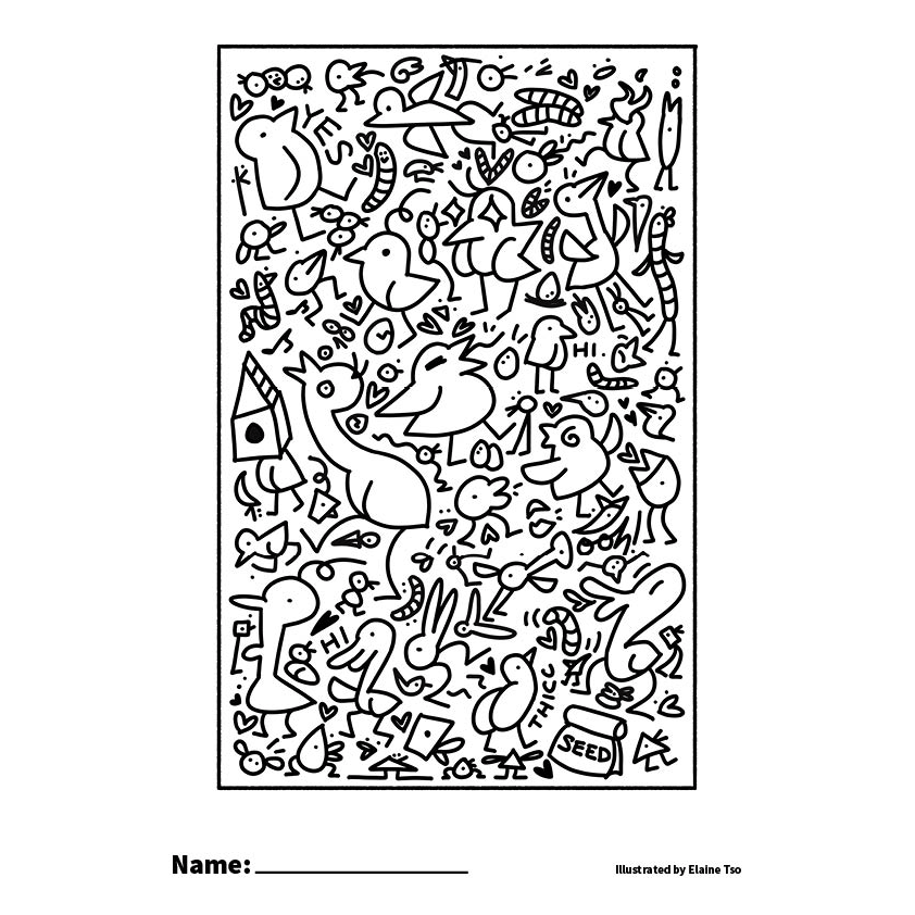 Birds colouring page (printable download)