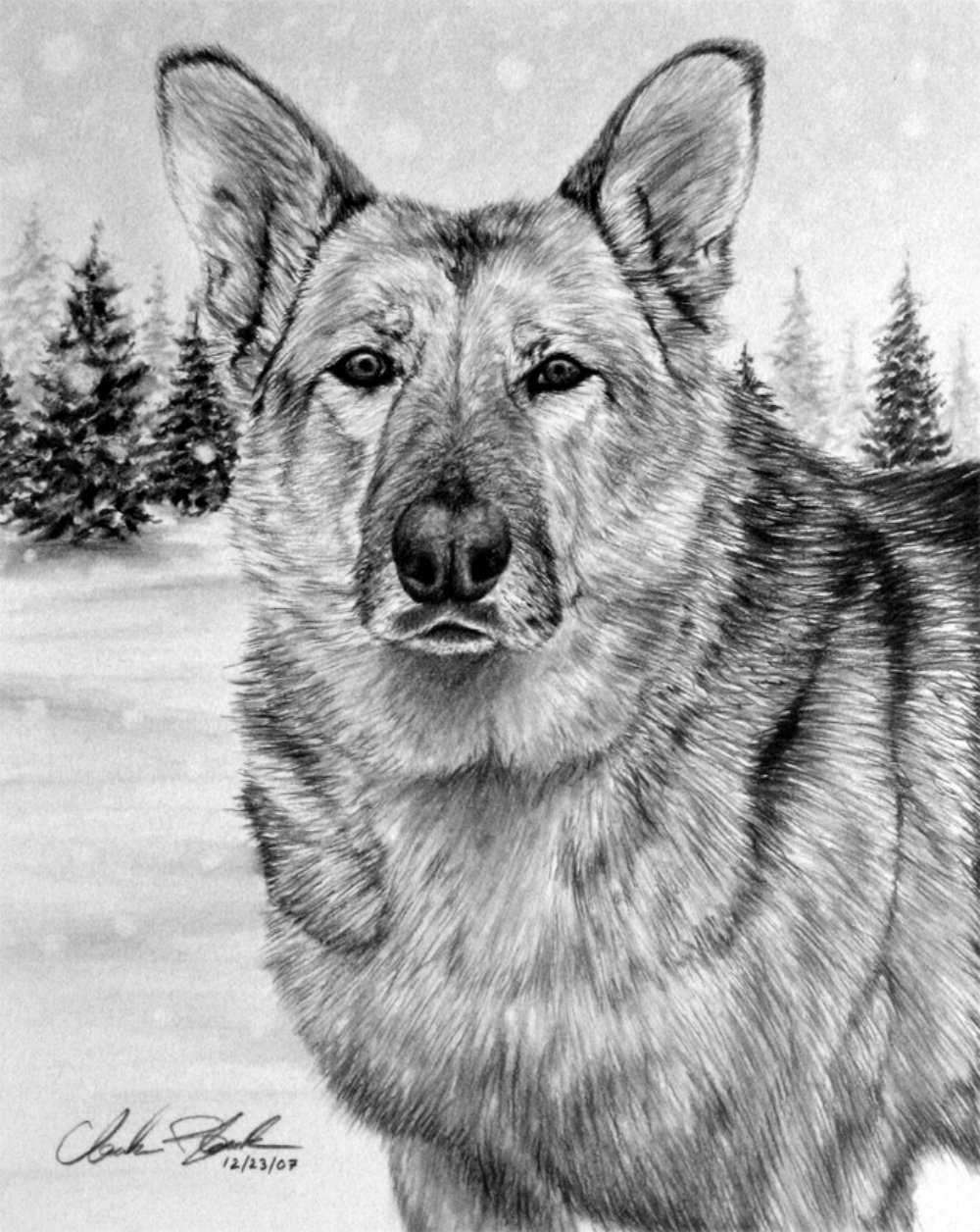 красивые картинки с нарисованными цветами