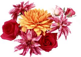 красивые картинки с нарисованными цветами