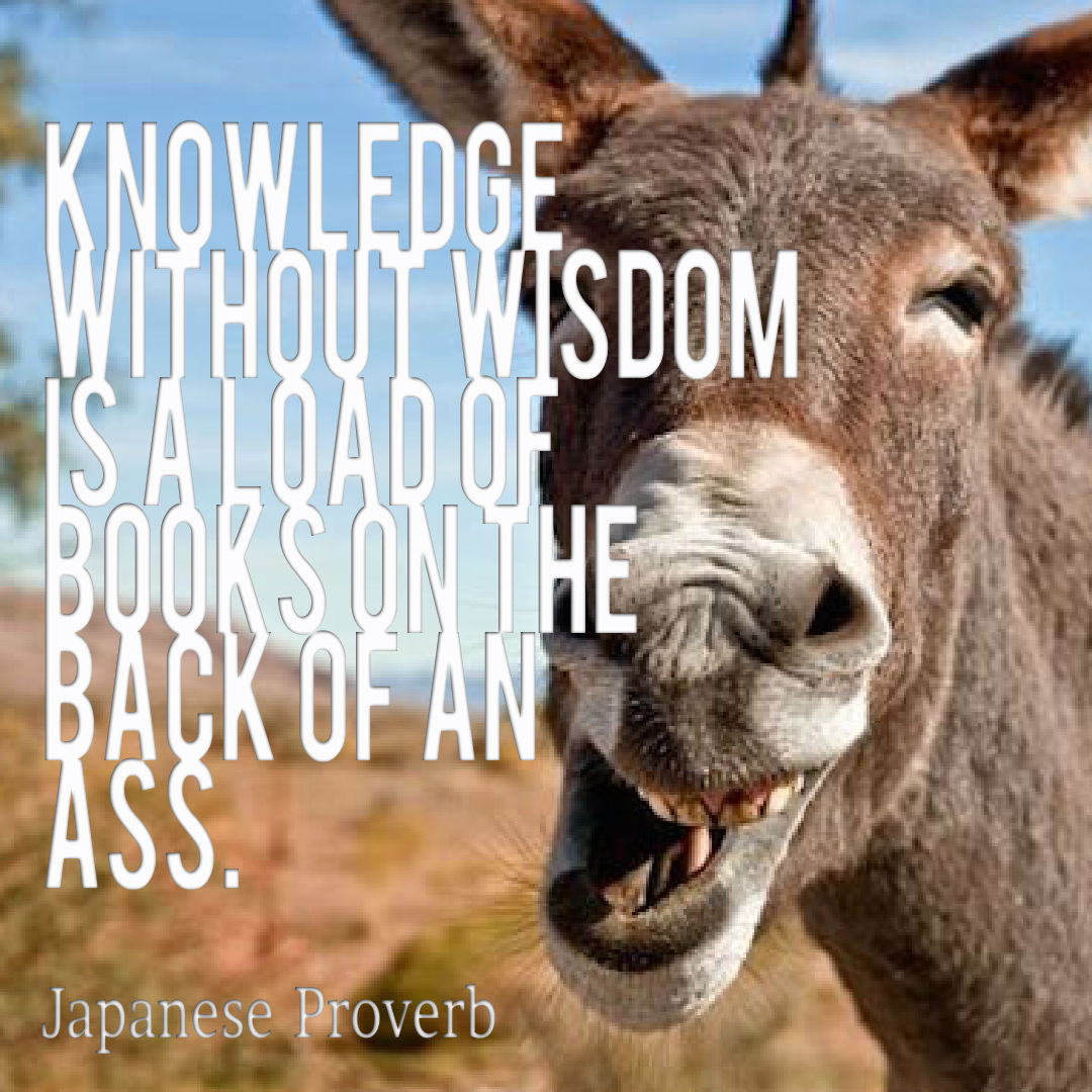 Donkeyquote