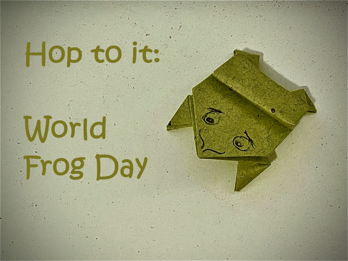 Hop to it: How to Celebrate World Frog Day (20 March) – Evil
