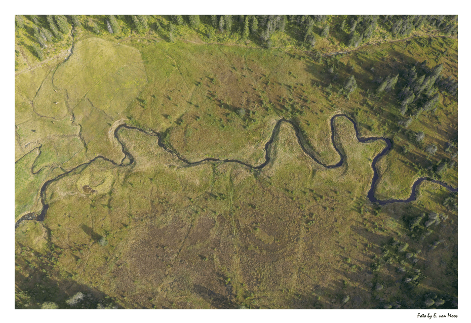 Mäander, DJI, 1/500s, f1.7, ISO110