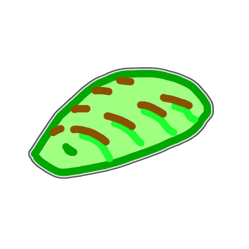 Evo Lua - Best Ocean Wallpapers in High Resolution