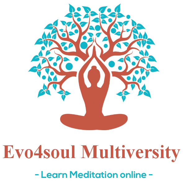 image: Evo4soul Multiversity logo