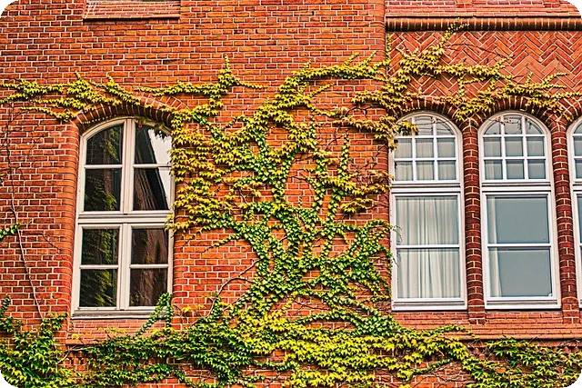 PROTO3의 well-known types 활용법 알아보기