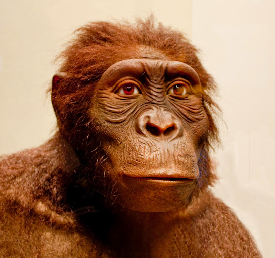 Image Map Preview Of Evolution Involution Slideshow - Gorgeous Geometric Illustration - Full HD