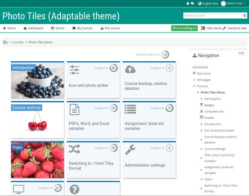Evolution Code - Premium Geometric Pattern Gallery - Desktop