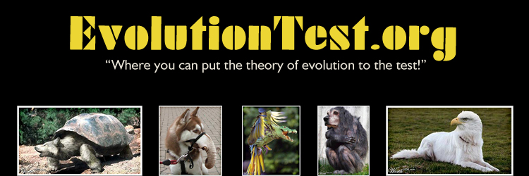Evolution Test - Professional 8K Vintage Images | Free Download