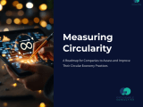 Measuring Circularity A Roadmap For Companies To Assess And Improve