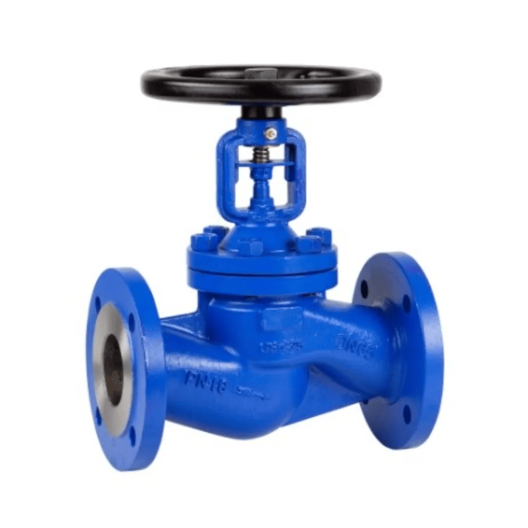 GLOBE VALVE