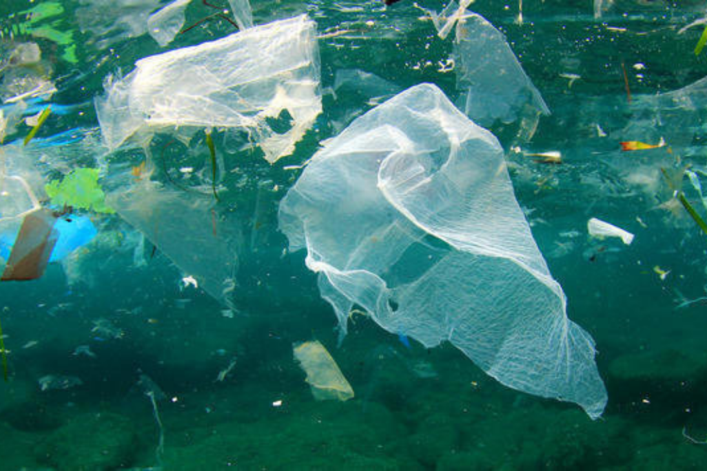 Plastic in the Oceans