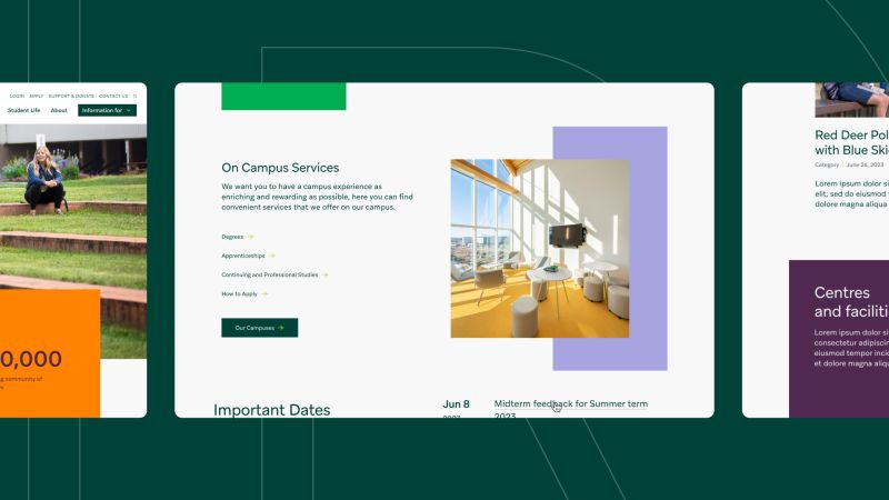 Naved Ahmad Red Deer Polytechnic - Premium Geometric Illustration Gallery - High Resolution