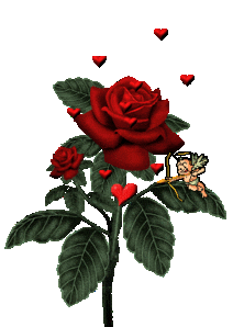 Dragostea este plina de bunatate!