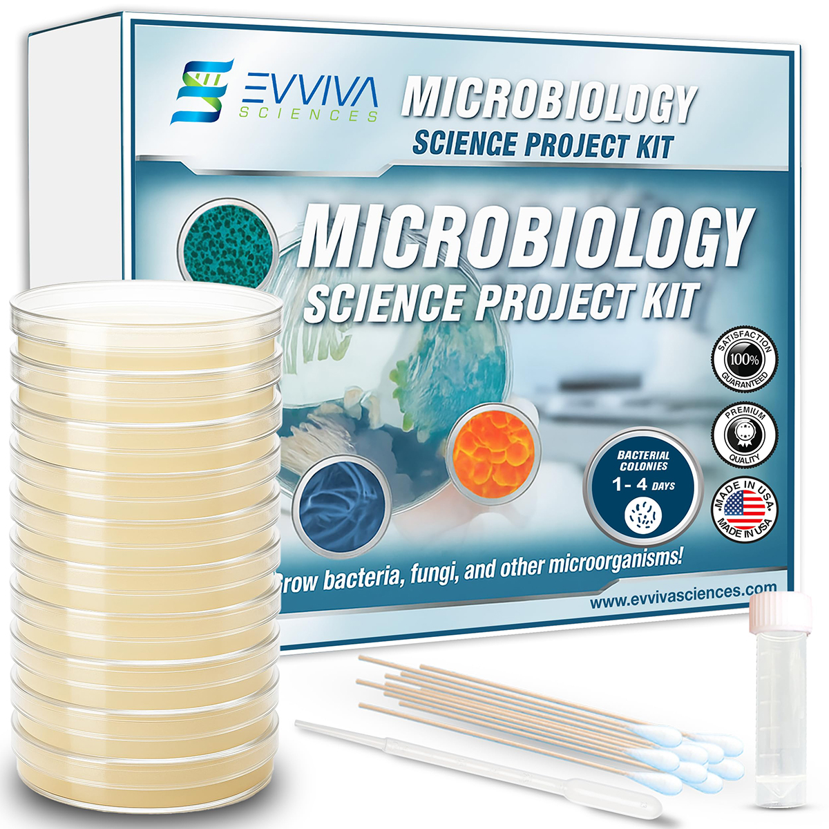 Amazing Bacteria Science Kit - Evviva Sciences
