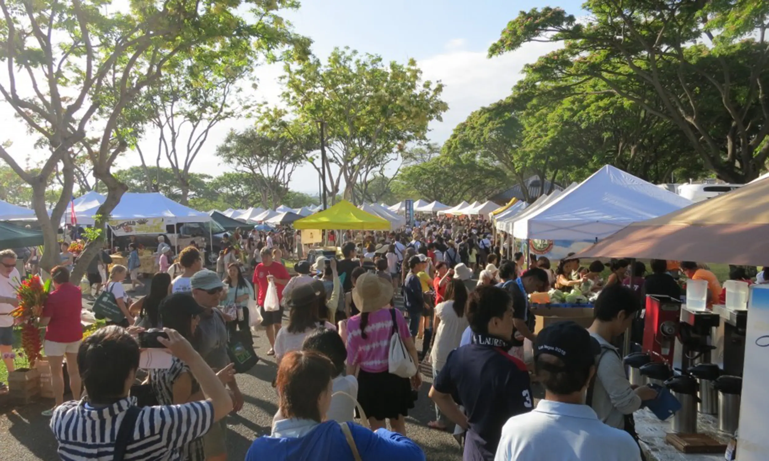 Large amount of people walking and exploring different vendors at a farmer's market.
