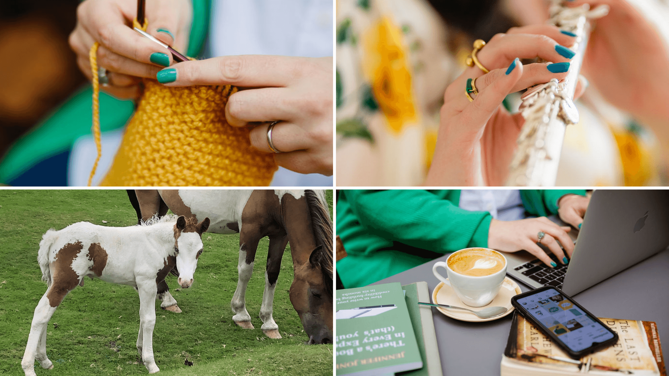 4 photographs, clockwise from upper left corner: my hands knitting with yellow yarn, closeup on my hands playing the flute, mare and foal on the moor, detail from photo of me typing on a laptop at a cafe.