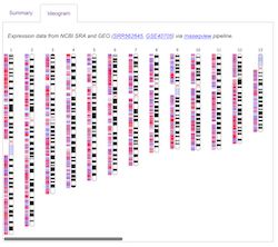 Github A Thind Ideogram Html Widget For Displaying Ibd Segments In An Interactive Ideogram - Ultra HD Gradient Wallpapers for Desktop