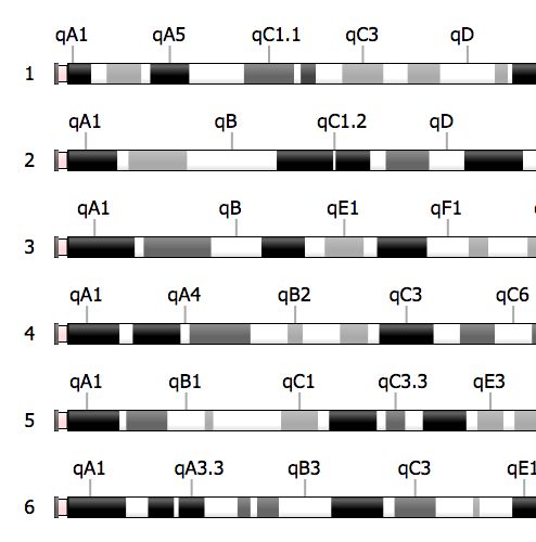 Research Software Ideogram Js - Desktop Geometric Wallpapers for Desktop