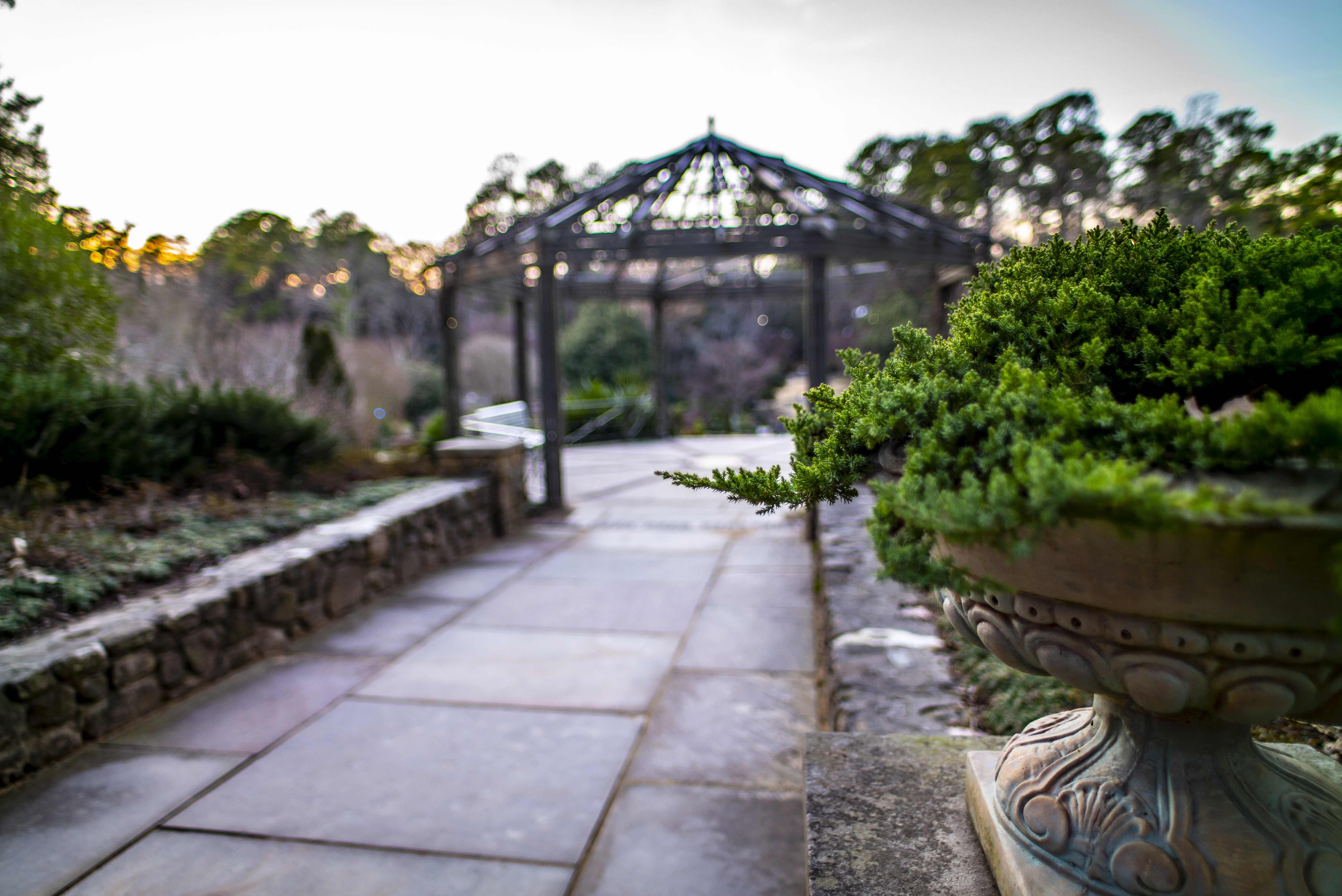New Lens to Me Focus Test: TTArtisans 21mm f/1.5 for M – Eric L. Woods