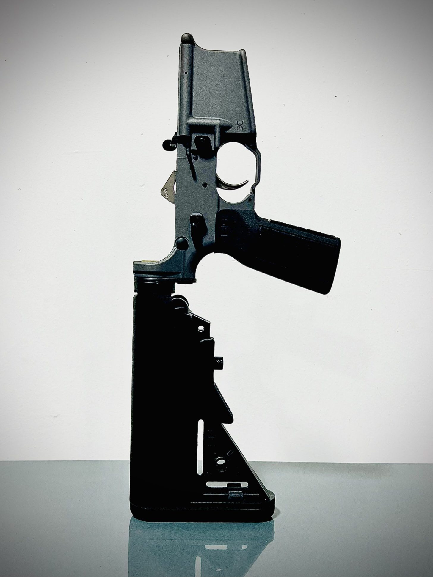 EWS Custom Shop-Complete Lower Receiver