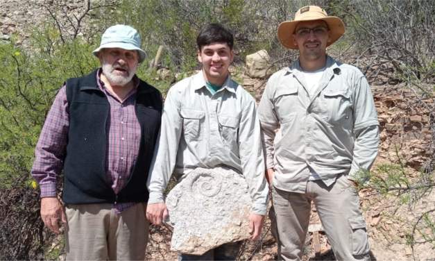 Hallan en Jáchal un molusco fosilizado de 470 millones de años