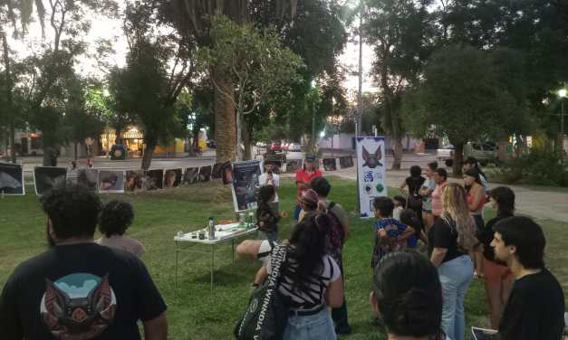Conservación de Murciélagos: Especialistas de Colombia en San Juan