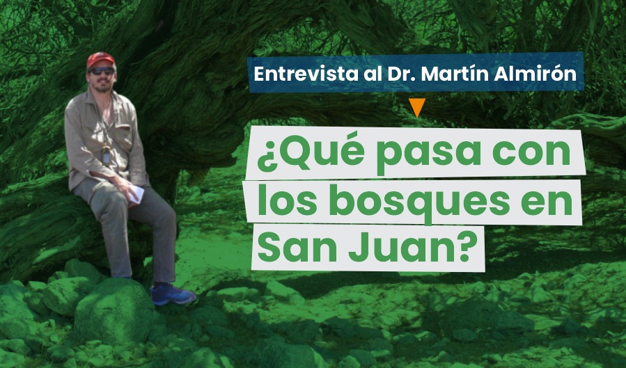 ¿Qué pasa con los bosques en San Juan?