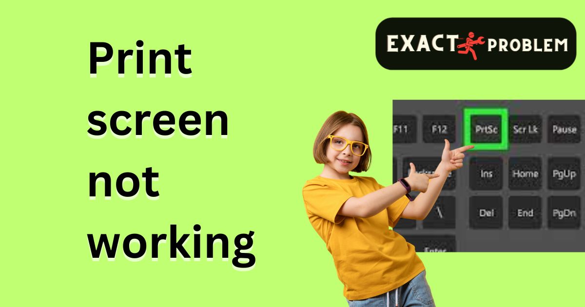 Print screen not working