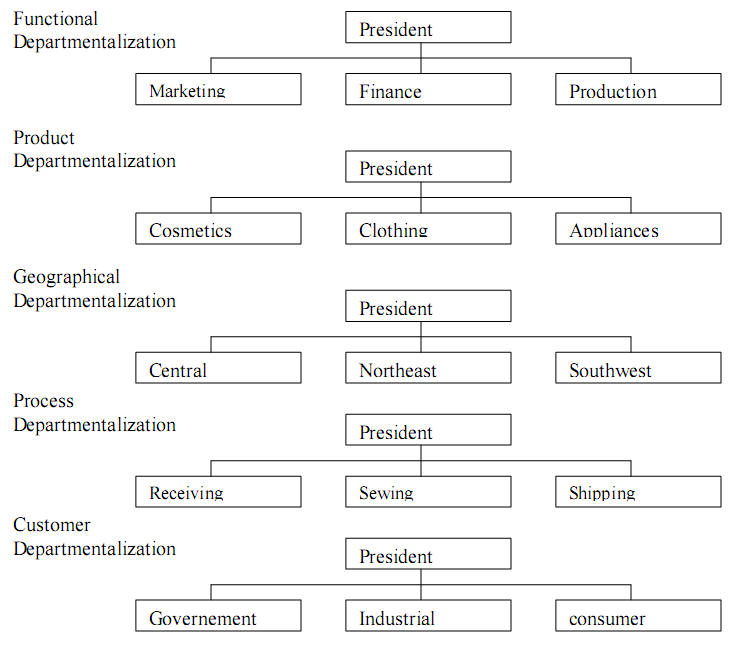 Common bases for departmentalisation. departmentalization ...