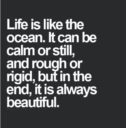 Rd.com arts & entertainment quotes “at any given moment, you have the power to say: 76 Awesome Picture Quotes About Life Examined Existence