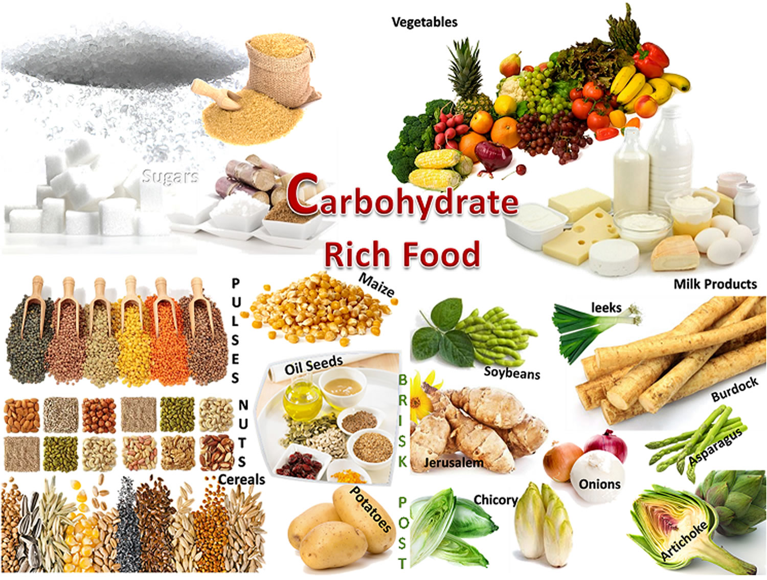 Examples Of Carbohydrates -8 Functions And Types Of Carbohydrates ...