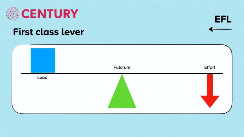Levers First Second And Third Class Explained - Best Colorful Designs in Retina